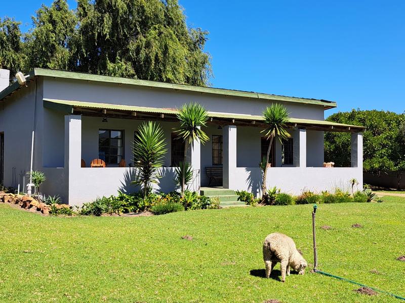 11 Bedroom Property for Sale in Kareedouw Eastern Cape